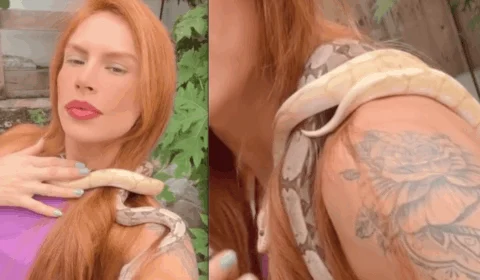 Cobras de Djidja seriam estranguladas em rituais de seita