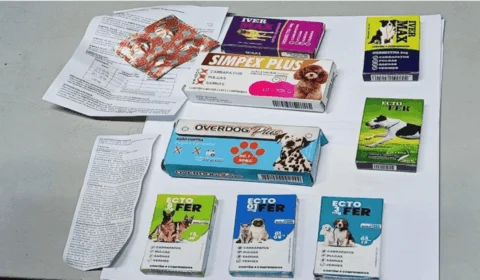Medicamentos falsos eram vendidos em pet shops do Amazonas