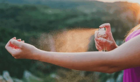 Febre oropouche: saiba sobre doença que cresce em Manaus