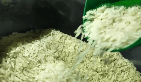 Preço do arroz pode aumentar com chuvas no RS? Entenda impacto