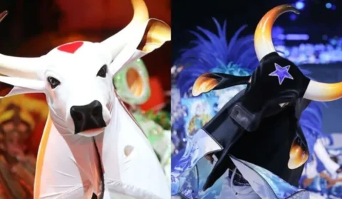 Boi Caprichoso e Matteus convidam Manaus a participar de ação em prol do RS