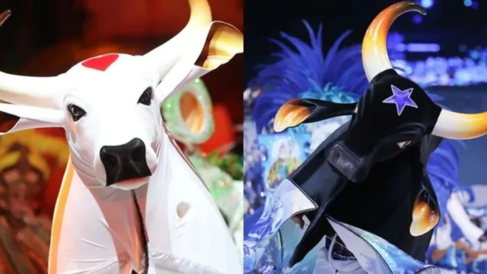 Boi Caprichoso e Matteus convidam Manaus a participar de ação em prol do RS