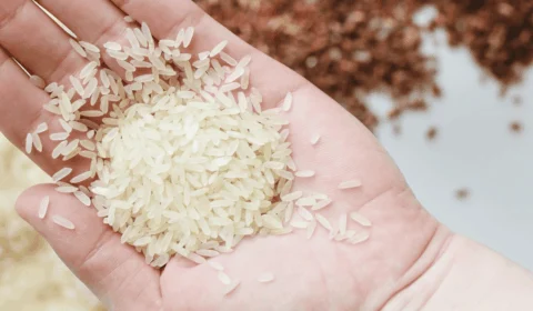 Conab fará 1º leilão de compra de arroz importado no dia 21