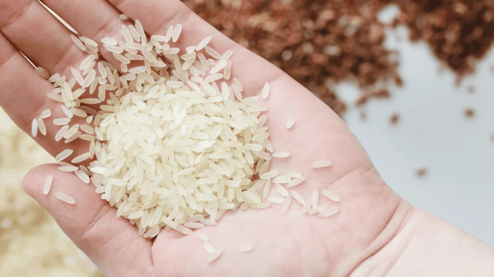 Conab fará 1º leilão de compra de arroz importado no dia 21