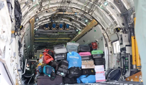 FAB leva 20 toneladas de ração para pets resgatados das enchentes no RS