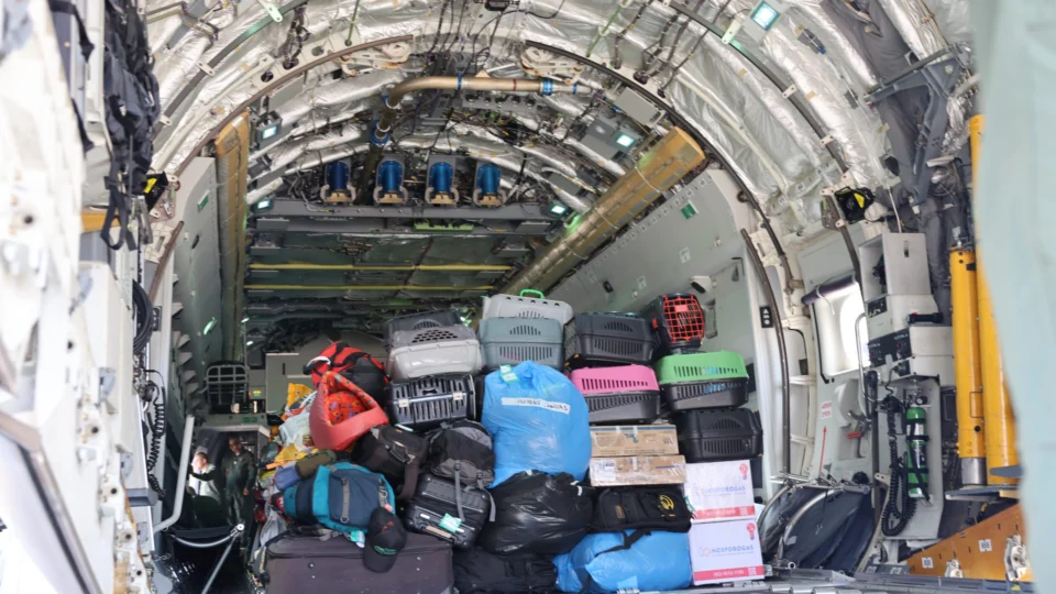 FAB leva 20 toneladas de ração para pets resgatados das enchentes no RS