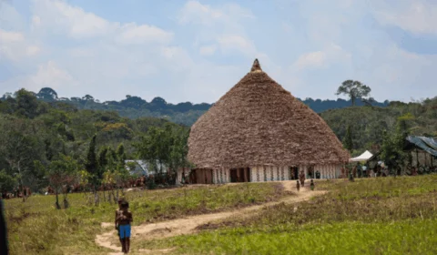 Ações de saúde reduzem em 27,6% a mortalidade no território Yanomami