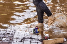 Saúde durante enchentes: como evitar doenças após alagamentos; Instituto Butantan revela dicas