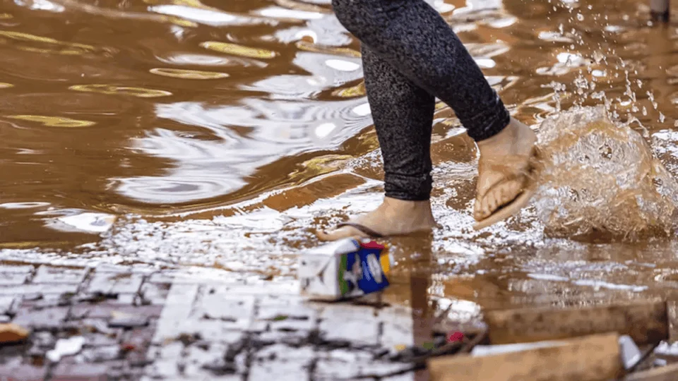 Saúde durante enchentes: como evitar doenças após alagamentos; Instituto Butantan revela dicas