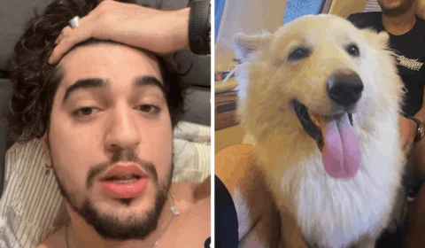 Henrique e Juliano se arrependem de roubarem os cachorros de Nattan; entenda