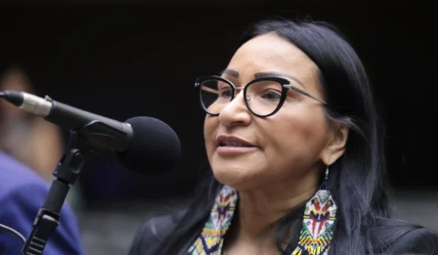 Silvia Waiãpi critica adiamento da votação do veto das saidinhas