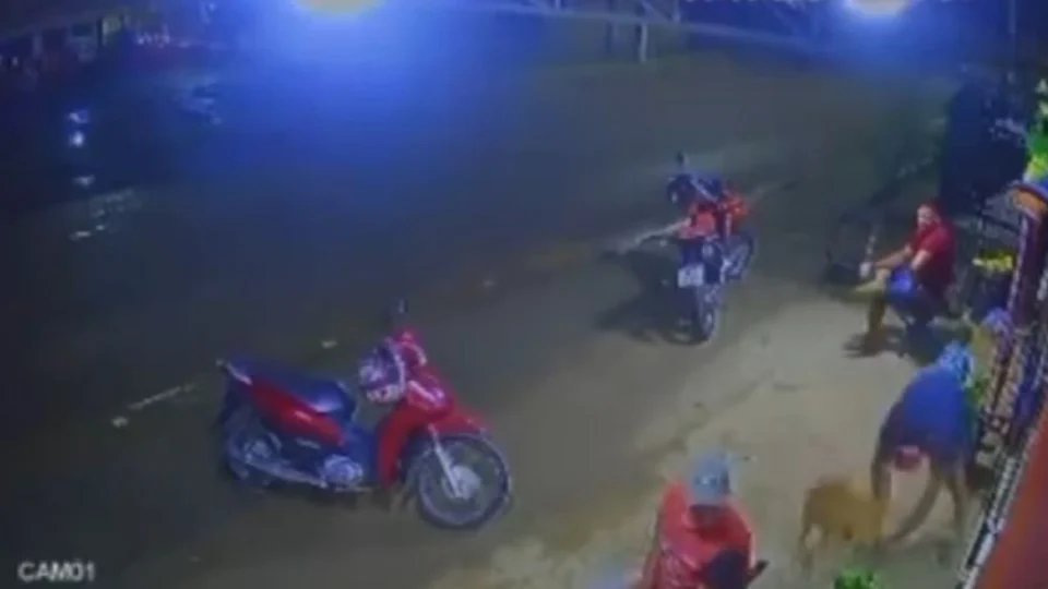 Homem joga cachorro no chão duas vezes e foge em Mucajaí-RR
