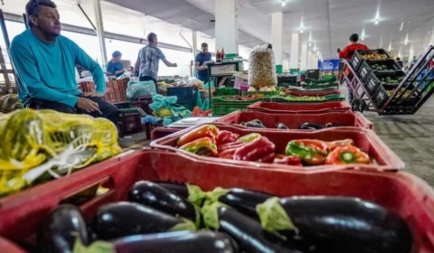 Quatro produtos têm preços mais baixos nas Ceasas, afirma Conab