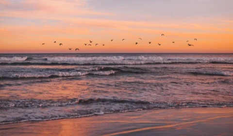 Privatização de praias? Entenda proposta que está no Senado