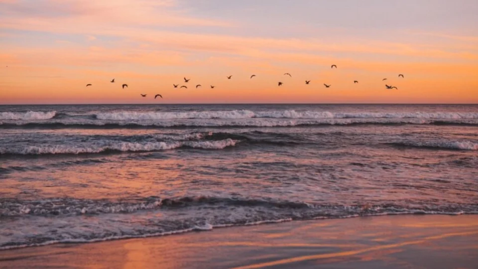 Privatização de praias? Entenda proposta que está no Senado