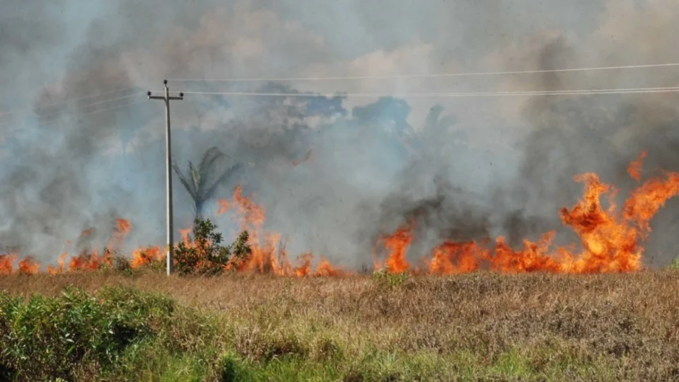 Ministério do Meio Ambiente elege culpados por queimadas na Amazônia; entenda