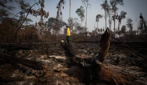 Greve dos servidores ambientais tem exceção para desastres