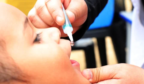 Poliomielite: Quando tomar vacina? Quantas doses são? É só a gotinha? Entenda