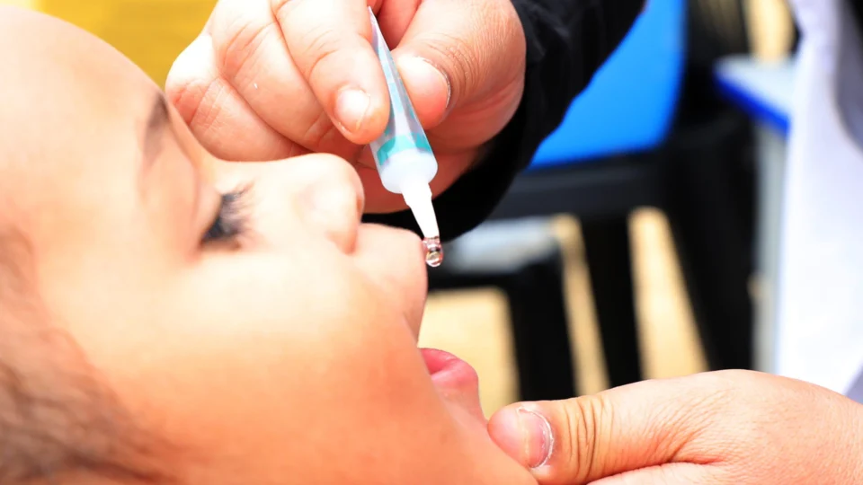 Poliomielite: Quando tomar vacina? Quantas doses são? É só a gotinha? Entenda