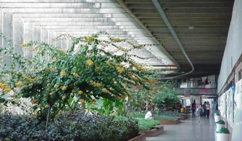 Professores aceitam proposta e greve na UnB chega ao fim