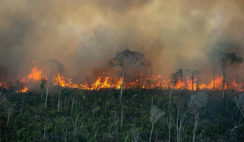 Forças Armadas vão atuar no combate às queimadas na Amazônia e Pantanal