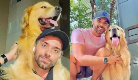 Cão Joca é cremado quase 2 meses após morrer em transporte aéreo