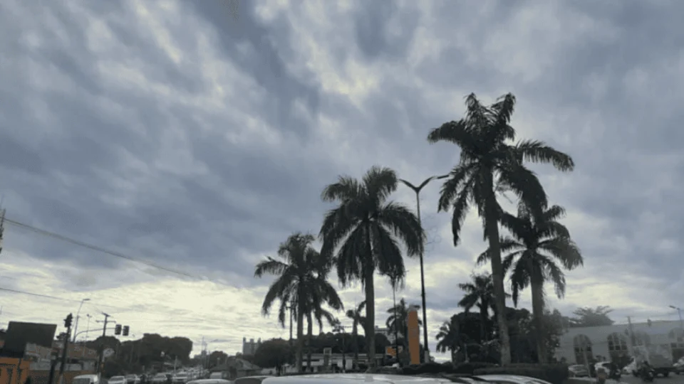 Previsão do tempo: confira o clima para esta terça (11) em Manaus