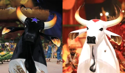 Festival de Parintins: conheça todos os componentes da celebração