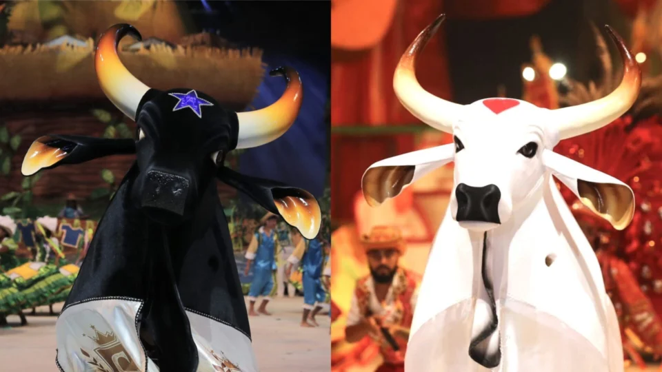 Festival de Parintins: conheça todos os componentes da celebração