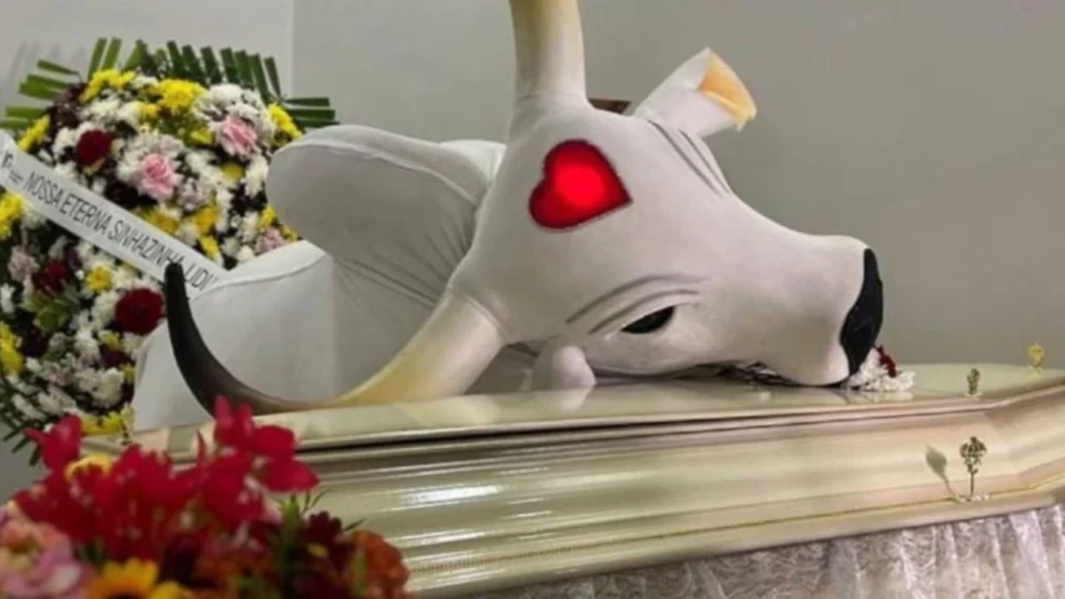 Djidja Cardoso: qual é o papel da sinhazinha no Festival de Parintins?