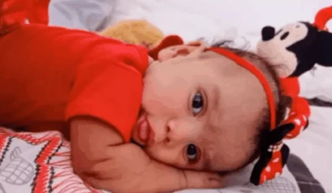 Bebê morre após ataque de cachorro na casa dos avós em Goiás