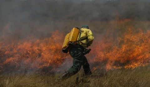 Suspeitos de provocar incêndio no DF são presos