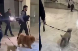 Nahim teve pedido inusitado realizado durante velório; veja