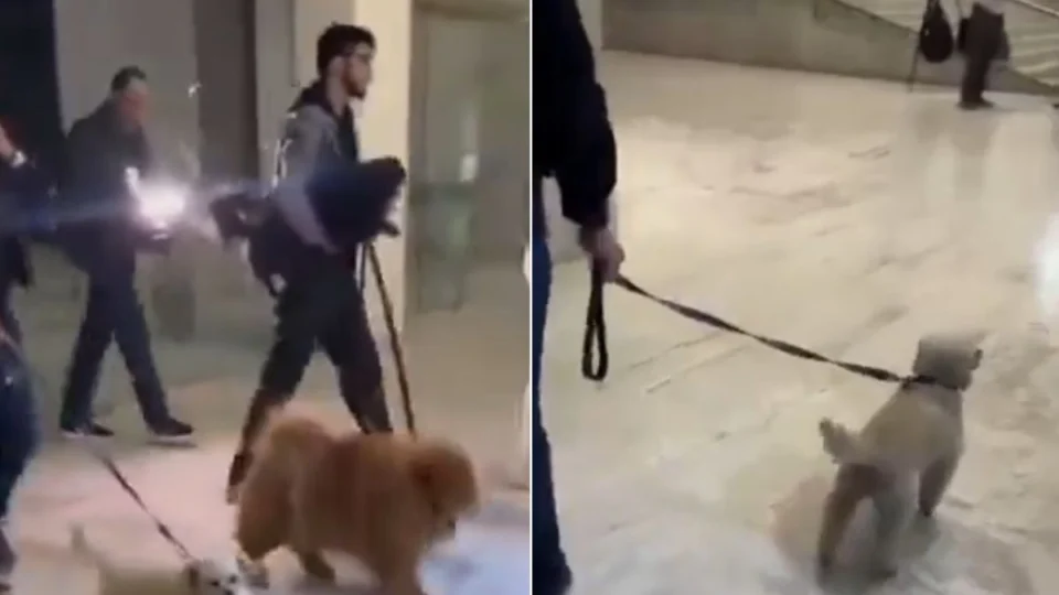 Nahim teve pedido inusitado realizado durante velório; veja