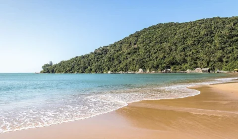 PEC das Praias: saiba quantos políticos devem ser beneficiados com privatização