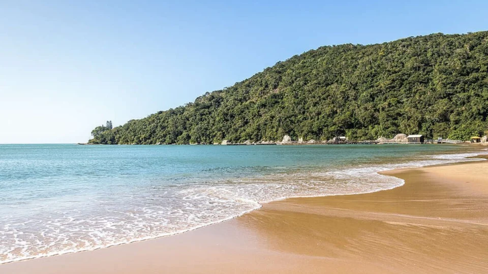 PEC das Praias: saiba quantos políticos devem ser beneficiados com privatização