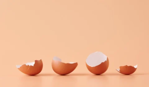 4 alimentos que você deveria comer todo dia