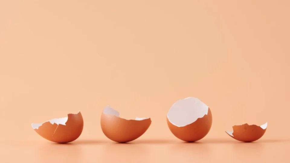 4 alimentos que você deveria comer todo dia