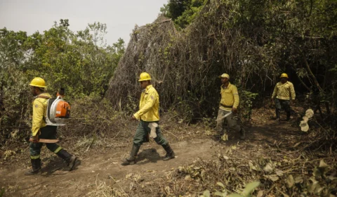 Servidores ambientais aprovam greve no DF e em 17 estados
