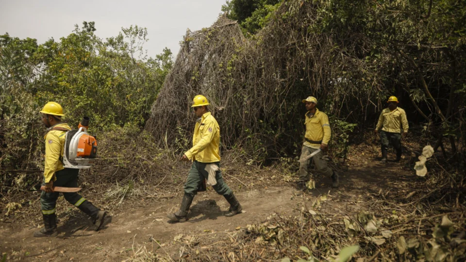 Servidores ambientais aprovam greve no DF e em 17 estados