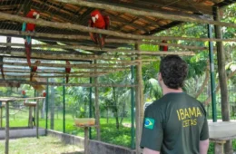 Servidores do Ibama iniciam greve em 18 estados nesta segunda-feira