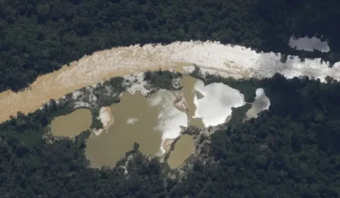 Malária: estudo revela aumento da doença na Amazônia devido ao garimpo ilegal