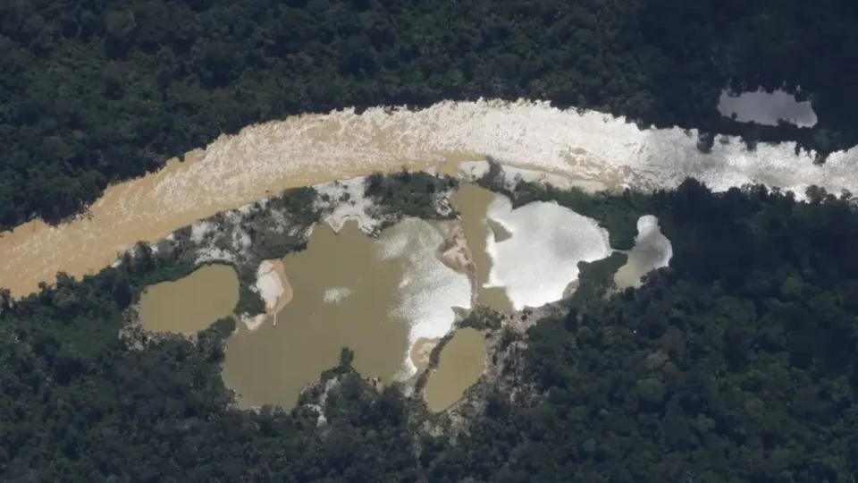 Malária: estudo revela aumento da doença na Amazônia devido ao garimpo ilegal
