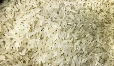 Novo edital de leilão de arroz sai em até dez dias, diz ministro