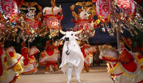 Garantido inicia translado de alegorias até Bumbódromo; veja módulos