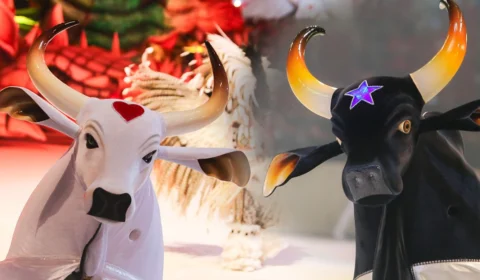 Festival de Parintins: como é escolhido o ganhador da competição