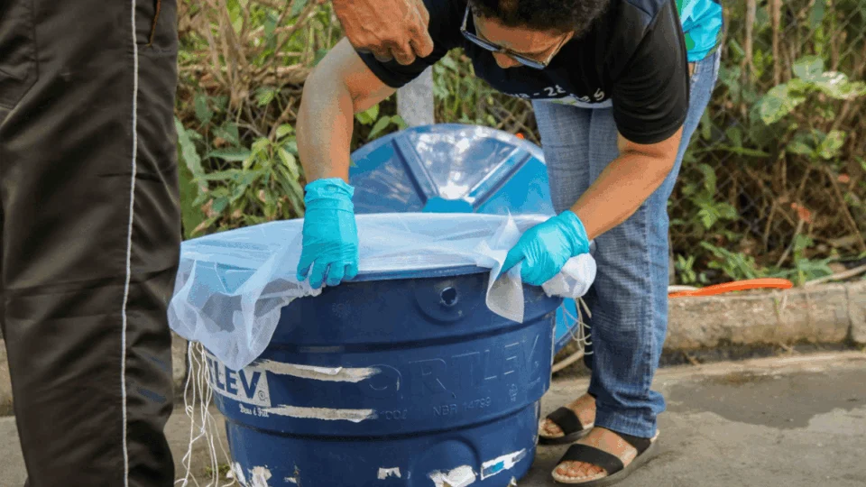 Em cinco meses, AM contabiliza mais de 4 mil casos de dengue