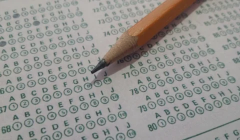 Concurso do Ibama: com salários iniciais de R$ 8.817,70, edital traz oportunidades ao Norte