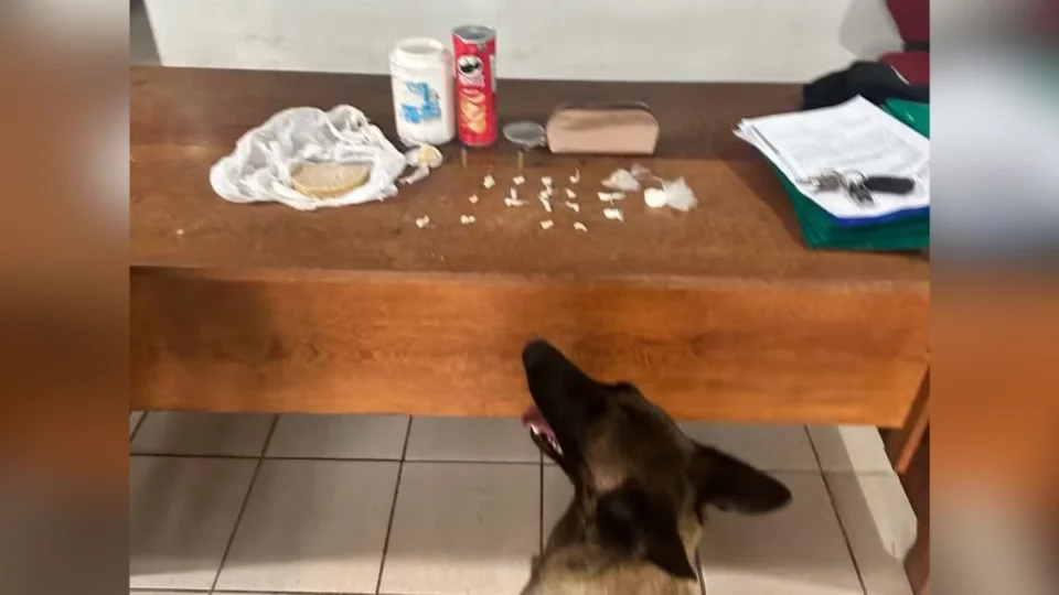 Adolescente de 14 anos é detido com cocaína e munição em Rorainópolis, sul de Roraima