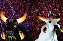 Festival de Parintins 2025: venda de ingressos começa no sábado (21); confira detalhes